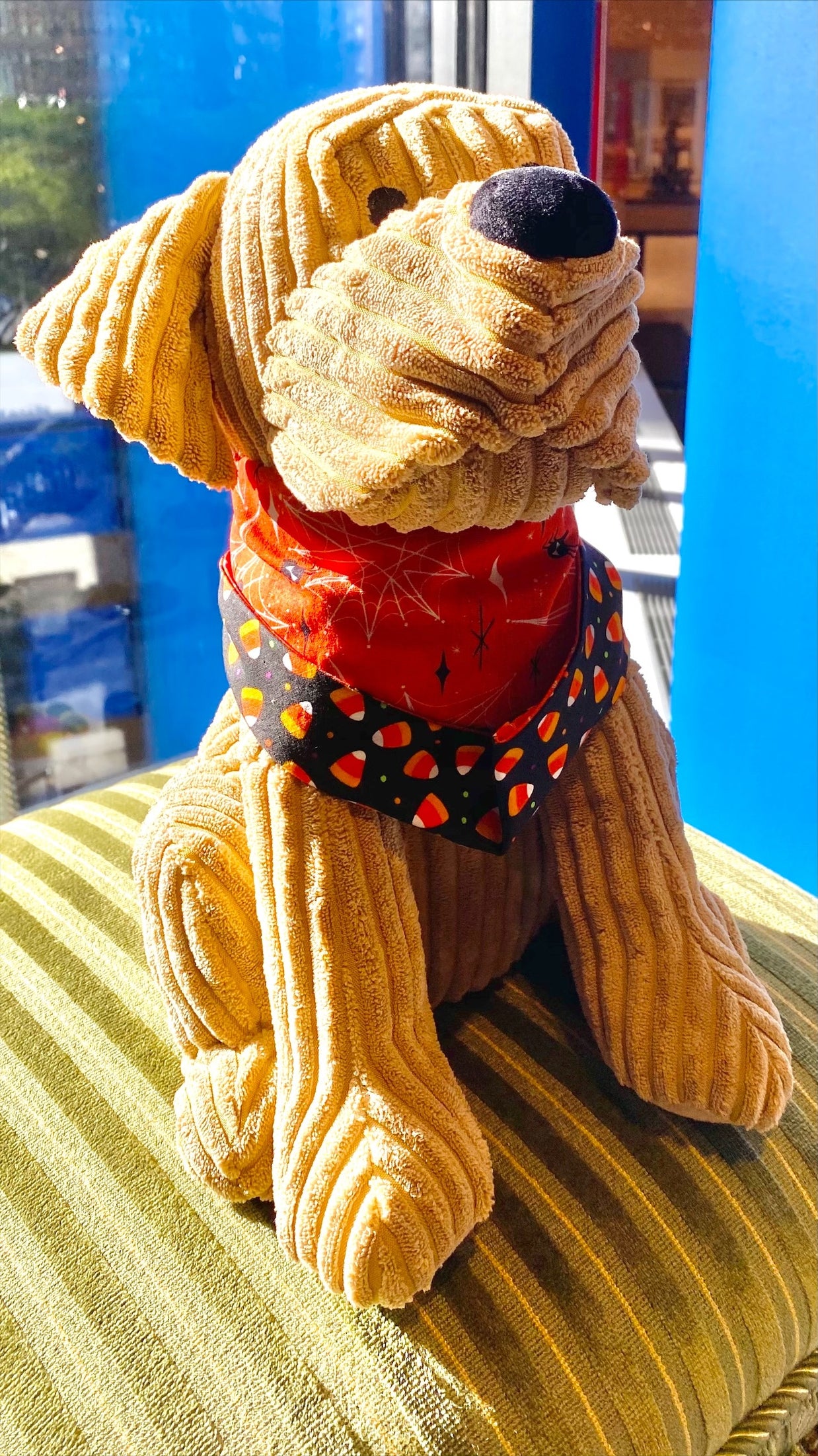 Ted & Co Halloween Bandanas, Bows, and Bowties