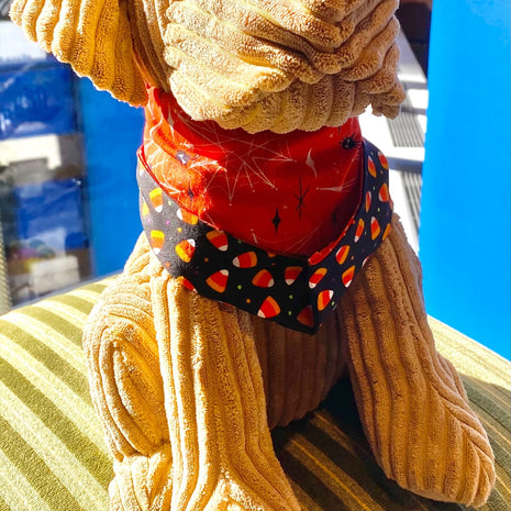 Ted & Co Halloween Bandanas, Bows, and Bowties