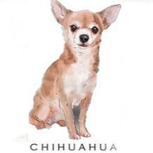 Breed Note Cards - Over 30 Breeds Offered!