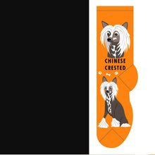 Load image into Gallery viewer, Crew Socks by FOOZYS Fun Socks
