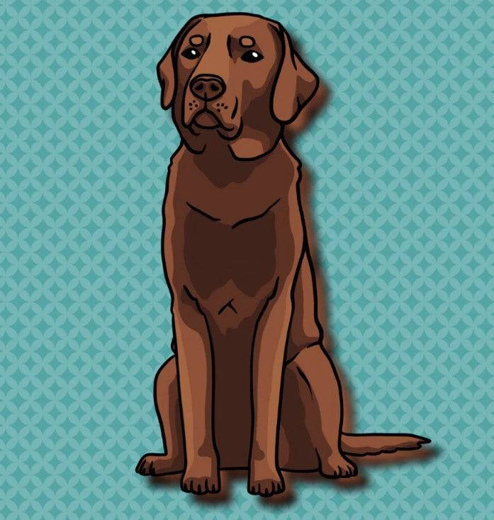 95 Breeds of Kawaii Stickers