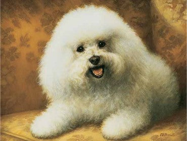 The American Dog at Home: The Dog Portraits of Christine Merrill