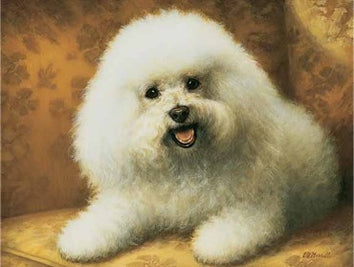 The American Dog at Home: The Dog Portraits of Christine Merrill