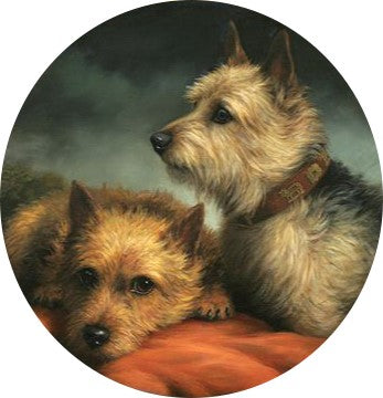 The American Dog at Home: The Dog Portraits of Christine Merrill