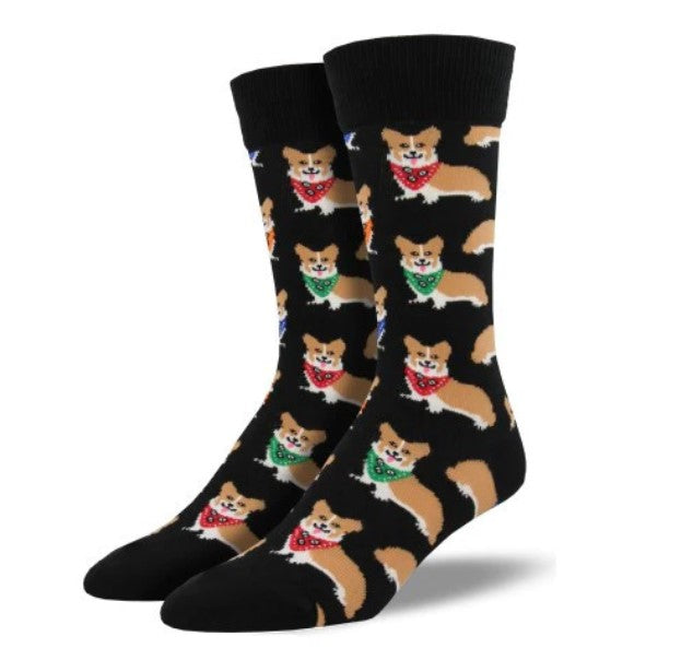 Corgi in Bandana Socks - Multiple Colors & Sizes!