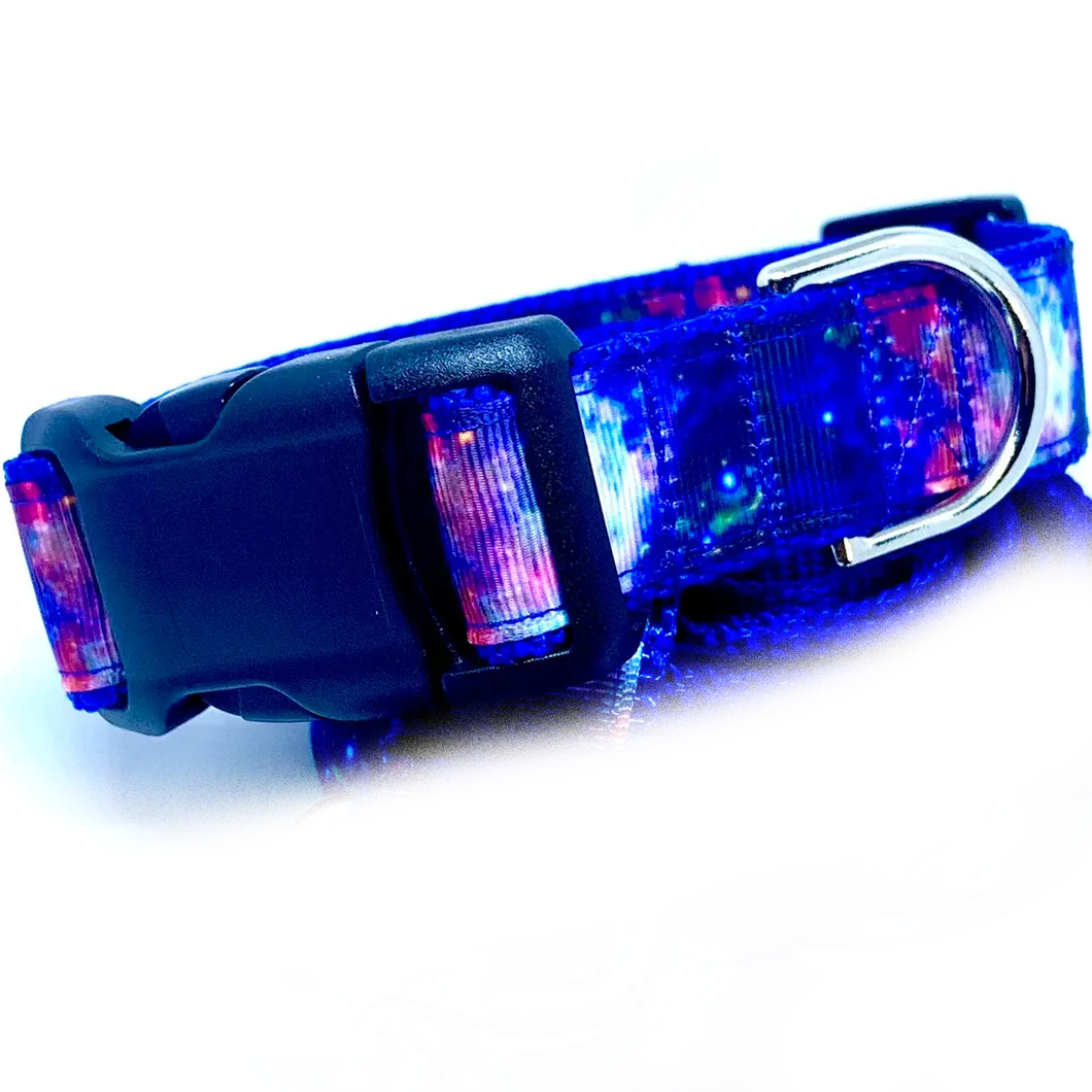 Cosmic Dog Collars and Leashes by Wag & Bark
