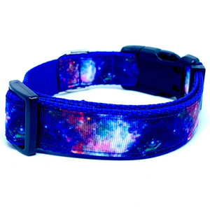 Cosmic Dog Collars and Leashes by Wag & Bark