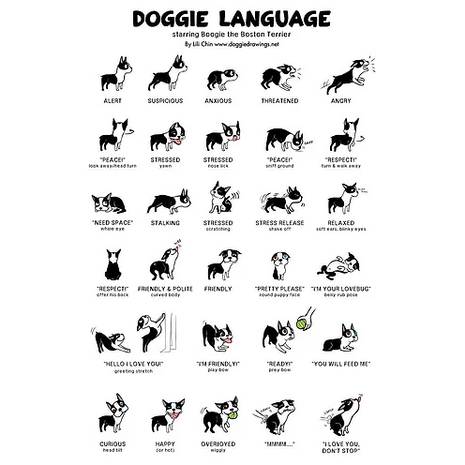 Doggie Language Print