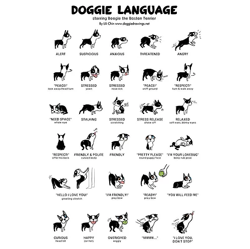 Doggie Language Print