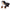 Large Bernese Mountain Dog Plush