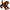 Chocolate Labrador Retriever Stuffed Animals