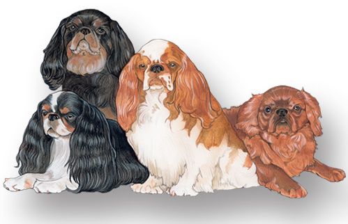 Wooden Dog Breed Magnets - Over 75 Breeds Available!