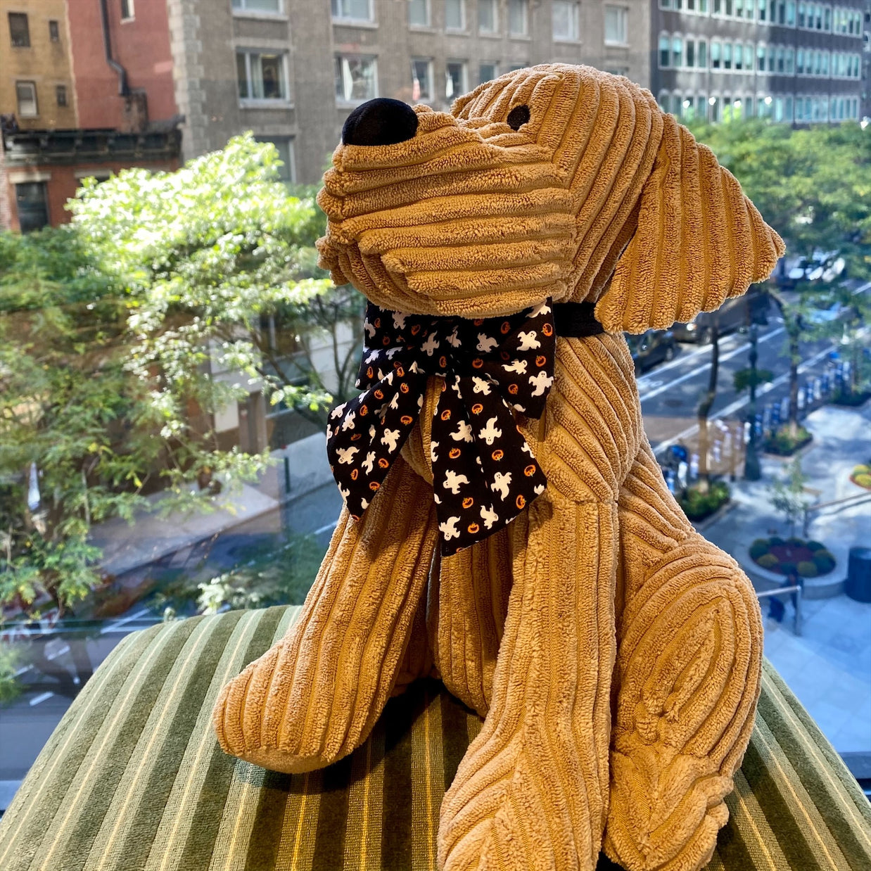 Ted & Co Halloween Bandanas, Bows, and Bowties