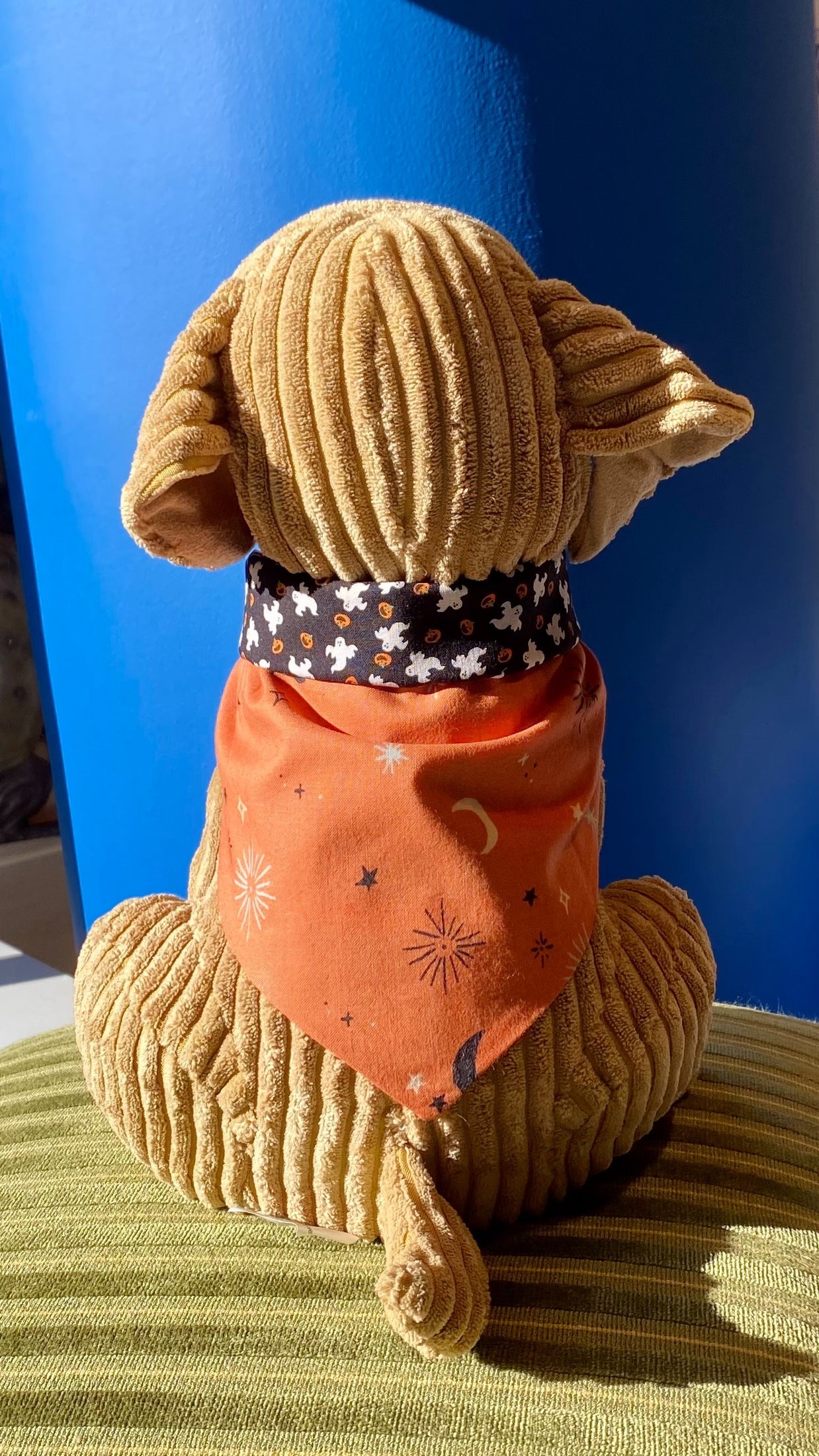 Ted & Co Halloween Bandanas, Bows, and Bowties