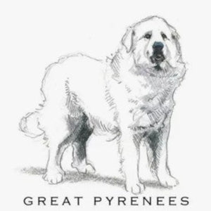 Breed Note Cards by Fable & Sage (Over 20 breeds offered!)
