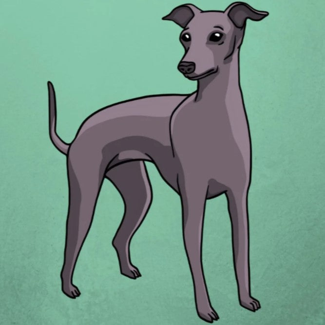 95 Breeds of Kawaii Stickers