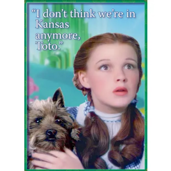 Rectangular Pop Culture Dog Manets