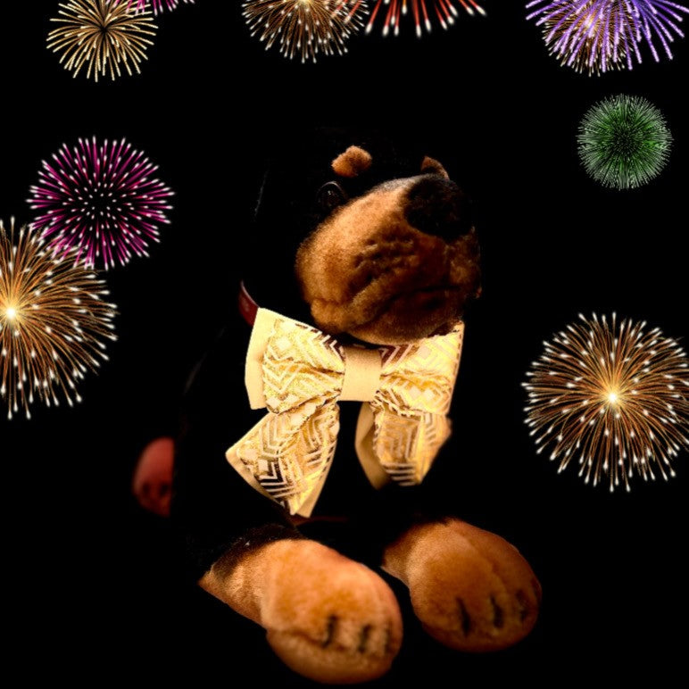 Ted & Co New Year's Eve Bow & Bowtie