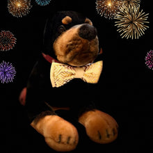 Load image into Gallery viewer, Ted &amp; Co New Year&#39;s Eve Bow &amp; Bowtie
