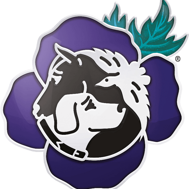 Purple Poppy Pin Enamel