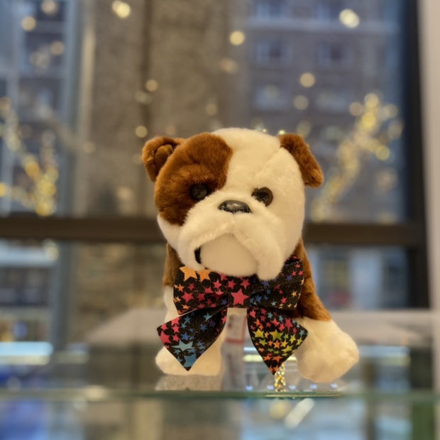 Ted & Co's Pride Bows and Bowties