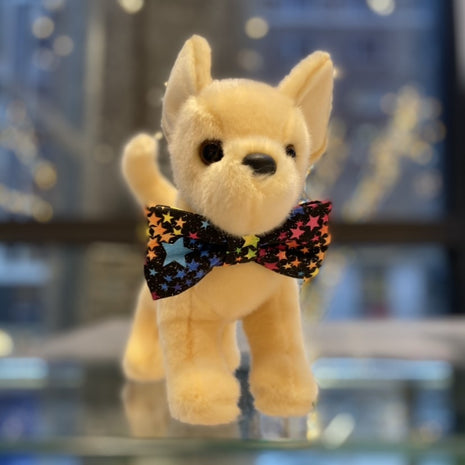 Pride Bows and Bowties for Pets and Pawrents
