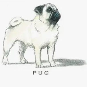 Breed Note Cards - Over 30 Breeds Offered!