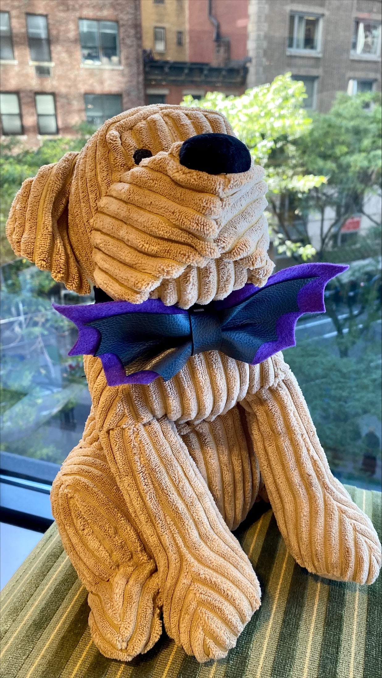 Ted & Co Halloween Bandanas, Bows, and Bowties