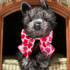 Ted & Co's Valentine's Day Bows and Bowties