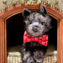Ted & Co's Valentine's Day Bows and Bowties