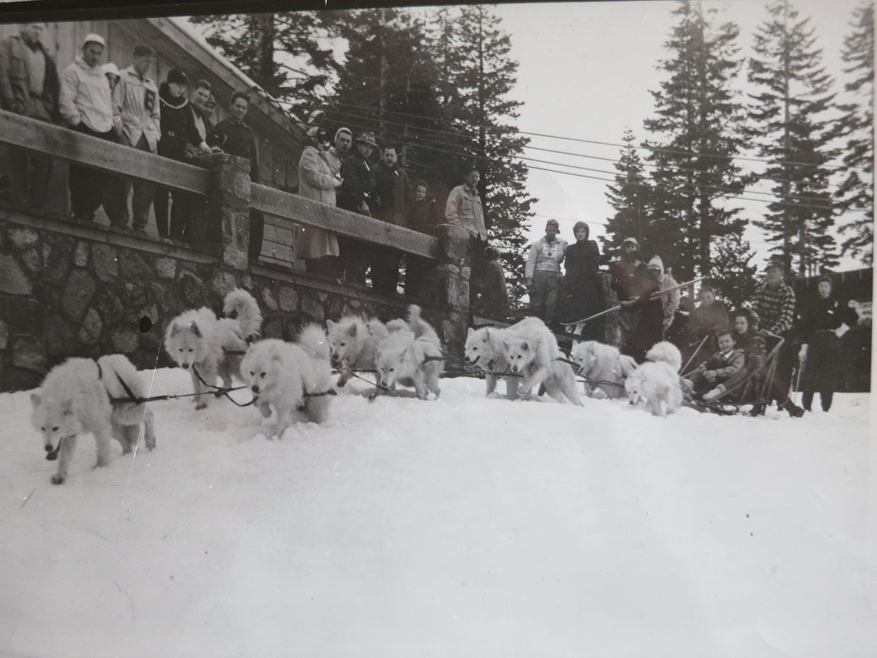 The Story of Rex of White Way, The Blizzard King