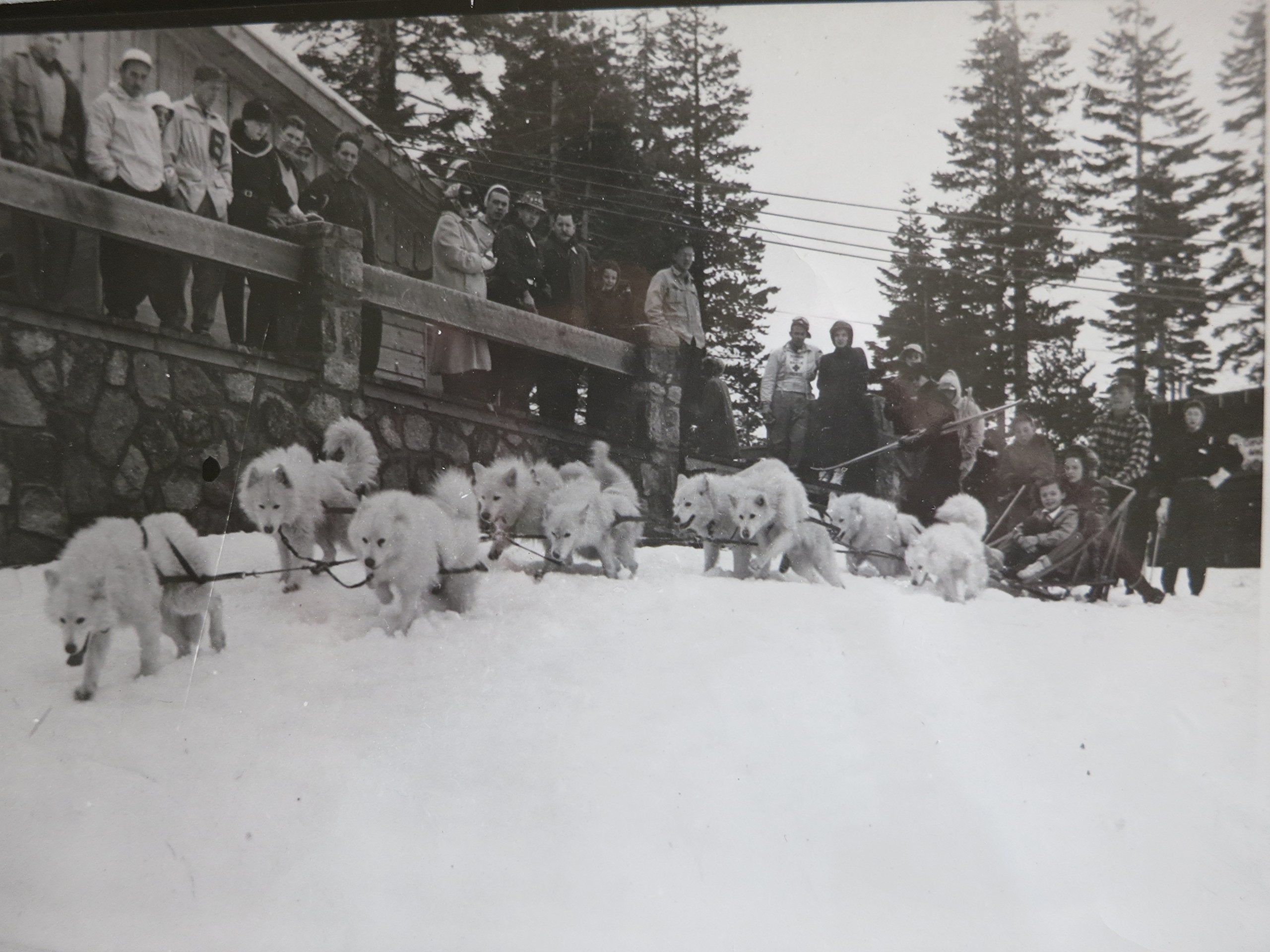 The Story of Rex of White Way, The Blizzard King