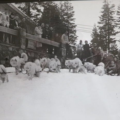 The Story of Rex of White Way, The Blizzard King