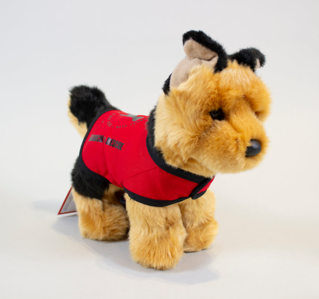 MOD EXCLUSIVE - Search and Rescue German Shepherd Dog