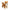 Shiba Inu Stuffed Animals
