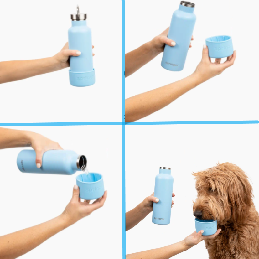 On The Go Dog Water Bottle Bowls