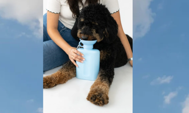 On The Go Dog Water Bottle Bowls