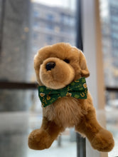 Load image into Gallery viewer, Ted &amp; Co&#39;s St. Patrick&#39;s Day Bows and Bowties
