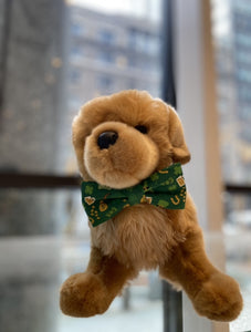 Ted & Co's St. Patrick's Day Bows and Bowties