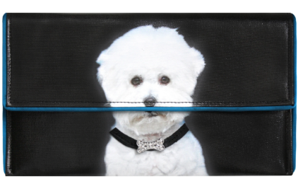 Kent Stetson Crossbody Clutch