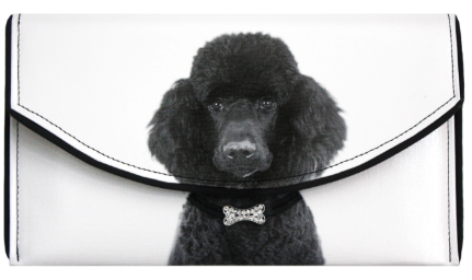 Kent Stetson Crossbody Clutch