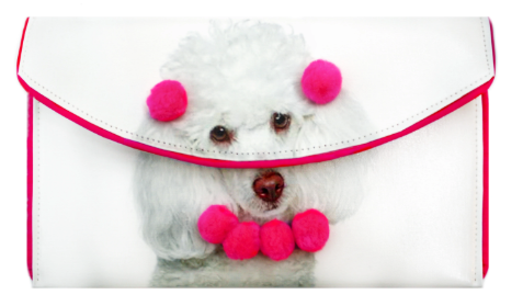 Kent Stetson Crossbody Clutch