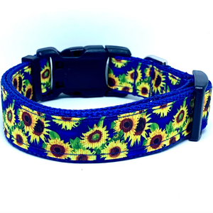 Sunflower Dog Collars and Leashes by Wag & Bark