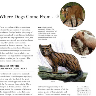 The Dog: A Natural History by Adam Miklosi