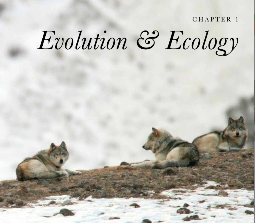 The Dog: A Natural History by Adam Miklosi