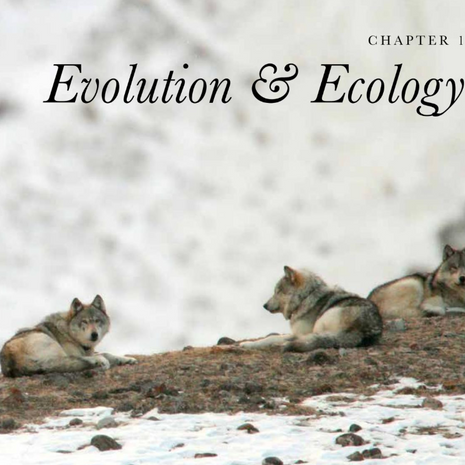 The Dog: A Natural History by Adam Miklosi