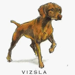 Breed Note Cards - Over 30 Breeds Offered!