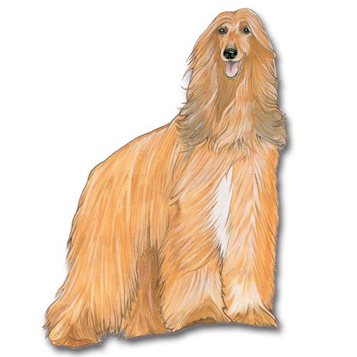 Wooden Dog Breed Magnets - Over 75 Breeds Available!