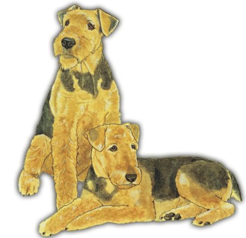 Wooden Dog Breed Magnets - Over 75 Breeds Available!
