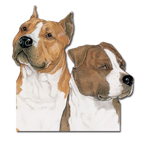 Wooden Dog Breed Magnets - Over 75 Breeds Available!
